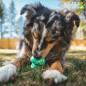 JUGUETE PARA LANZAR RUFFWEAR PARA PERROS TOADSTOOL