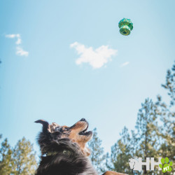 JUGUETE PARA LANZAR RUFFWEAR PARA PERROS TOADSTOOL