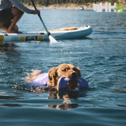 JUGUETE FLOTANTE RUFFWEAR PARA PERROS HYDRO PLANE