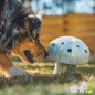 JUGUETE RUFFWEAR PARA PERROS PORCINI