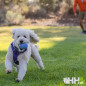 JUGUETE PARA LANZAR RUFFWEAR PARA PERROS HUCKAMA