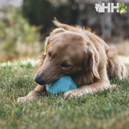 ROCA RUFFWEAR PARA PERROS GNAWT-A-ROCK