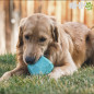 ROCA RUFFWEAR PARA PERROS GNAWT-A-ROCK
