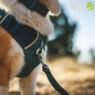 CORREA RUFFWEAR PARA PERROS FRONT RANGE FLEX