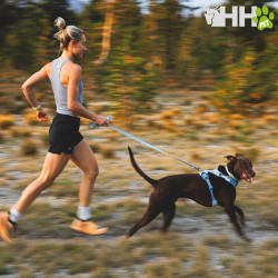 CORREA RUFFWEAR PARA PERROS FRONT RANGE FLEX