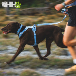 CORREA RUFFWEAR PARA PERROS FRONT RANGE FLEX