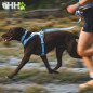 CORREA RUFFWEAR PARA PERROS FRONT RANGE FLEX