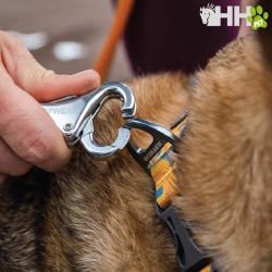 CORREA ELASTICA RUFFWEAR PARA PERROS ROAMER