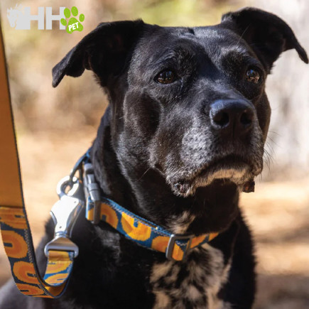CORREA REFLECTANTE RUFFWEAR PARA PERROS CRAG