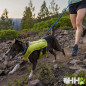 CORREA RUFFWEAR PARA PERROS TRAIL RUNNER