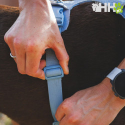 ARNES RUFFWEAR PARA PERROS FRONT RANGE FLEX
