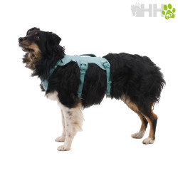ARNES CON ASA RUFFWEAR PARA PERROS WEB MASTER (NEW)