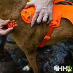 ARNES CON ASA RUFFWEAR PARA PERROS WEB MASTER (NEW)