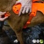ARNES CON ASA RUFFWEAR PARA PERROS WEB MASTER (NEW)