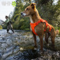 ARNES CON ASA RUFFWEAR PARA PERROS WEB MASTER (NEW)