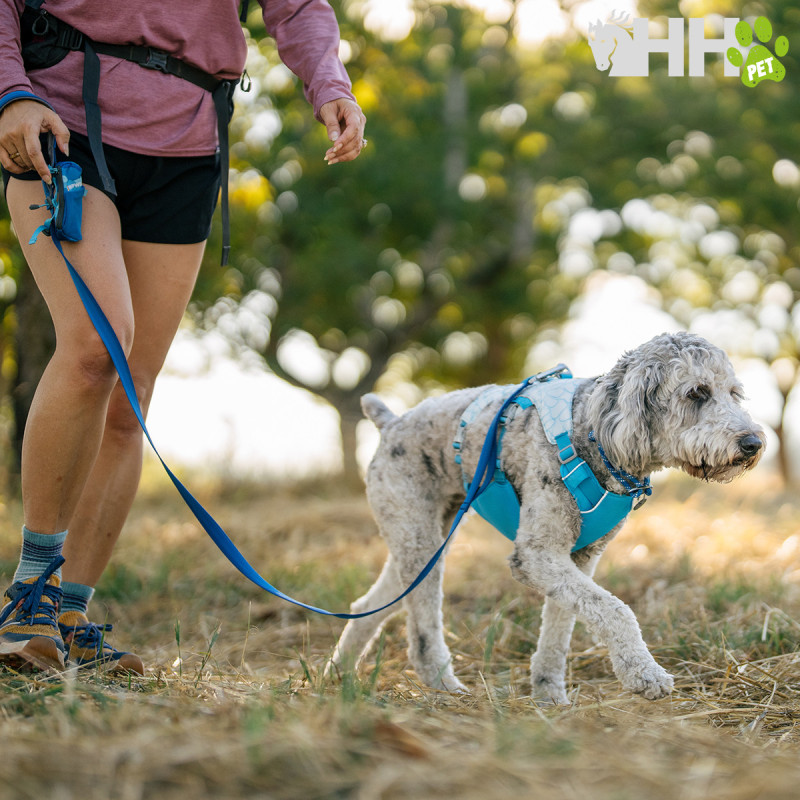 ARNES REFRESCANTE RUFFWEAR PARA PERROS SWAMP COOLER