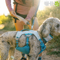 ARNES REFRESCANTE RUFFWEAR PARA PERROS SWAMP COOLER