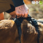 ARNES RUFFWEAR PARA PERROS RIDGELINE