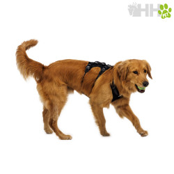 ARNES RUFFWEAR PARA PERROS RIDGELINE