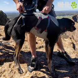 ARNES DE CUERPO ENTERO RUFFWEAR PARA PERROS DOUBLEBACK