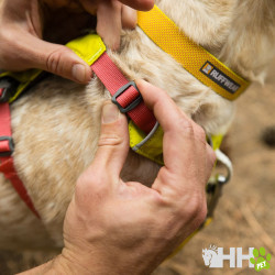 ARNES LIGERO RUFFWEAR PARA PERROS HI & LIGHT