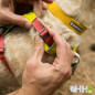 ARNES LIGERO RUFFWEAR PARA PERROS HI & LIGHT