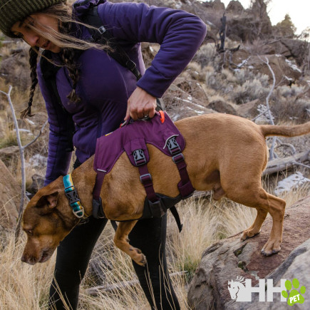 ARNES CON ASA RUFFWEAR PARA PERROS WEB MASTER