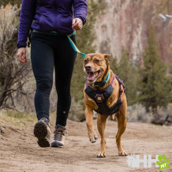 ARNES CON ASA RUFFWEAR PARA PERROS WEB MASTER