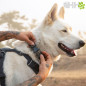 COLLAR RUFFWEAR PARA PERROS FRONT RANGE