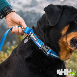 COLLAR MARTINGALA CON HEBILLA RUFFWEAR PARA PERROS WEB REACTION
