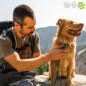 COLLAR MARTINGALA CON HEBILLA RUFFWEAR PARA PERROS WEB REACTION