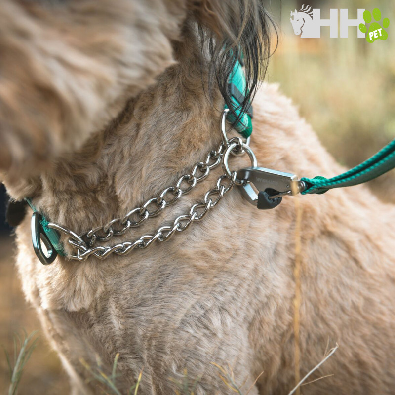 COLLAR MARTINGALA RUFFWEAR PARA PERROS CHAIN REACTION