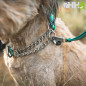 COLLAR MARTINGALA RUFFWEAR PARA PERROS CHAIN REACTION