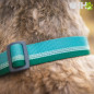 COLLAR MARTINGALA RUFFWEAR PARA PERROS CHAIN REACTION