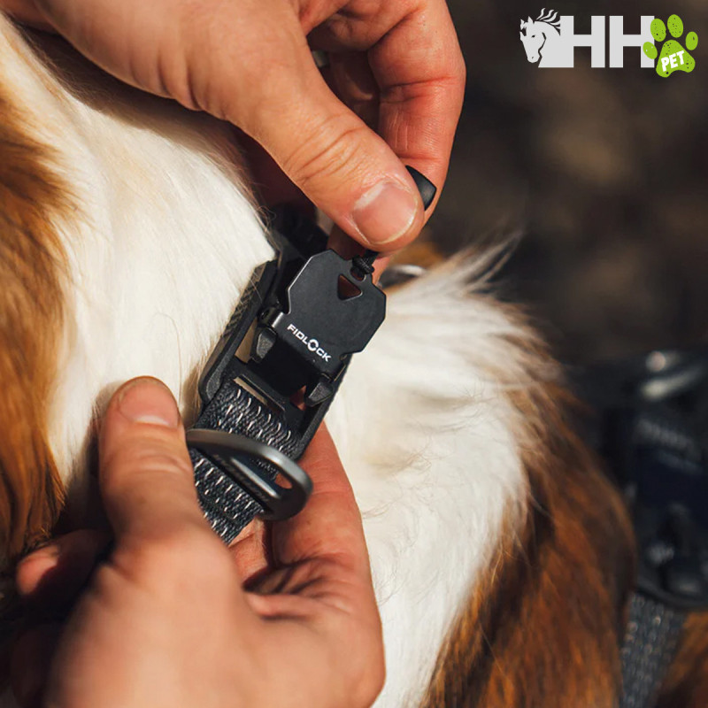 COLLAR RUFFWEAR PARA PERROS RIDGELINE