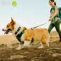 COLLAR RUFFWEAR PARA PERROS FRONT RANGE FLEX