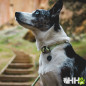 COLLAR DE CUERDA RUFFWEAR PARA PERROS KNOT-A-COLLAR