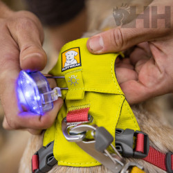 LUZ DE SEGURIDAD RUFFWEAR PARA PERROS BEACON