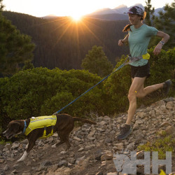 LUZ DE SEGURIDAD RUFFWEAR PARA PERROS BEACON