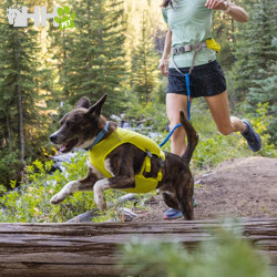 CINTURON PARA CORRER RUFFWEAR PARA PERROS TRAIL RUNNER BELT