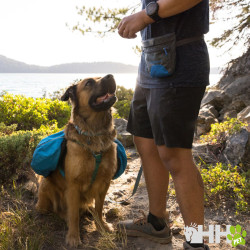 BOLSA PARA GOLOSINAS RUFFWEAR PARA PERROS TREAT TRADER POUCH