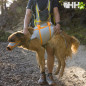 KIT EVACUACION RUFFWEAR PARA PERROS BACKTRAK