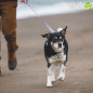 CORREA RUFFWEAR PARA PERROS FRONT RANGE