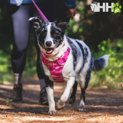 ARNES RUFFWEAR PARA PERROS FRONT RANGE
