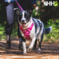 ARNES RUFFWEAR PARA PERROS FRONT RANGE