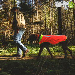 CHAQUETA DE ALTA VISIBILIDAD RUFFWEAR PARA PERROS LUMENGLOW (NEW)