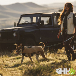 CHALECO POLAR RUFFWEAR PARA PERROS TIMBERLINE FUSE FLEECE