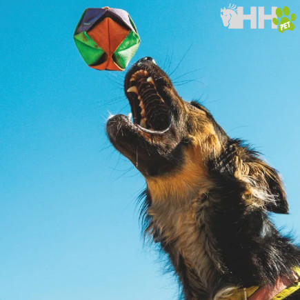 PELOTA DE JUGUETE RUFFWEAR PARA PERROS WEBBING REMIX