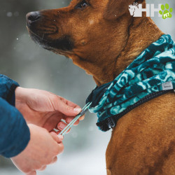 BRAGA TERMICA RUFFWEAR PARA PERROS (REVERSIBLE) MT. HOODIE