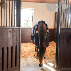 MANTA HORSEWARE NEWMARKET COSY CUADRA MEDIUM (200g)